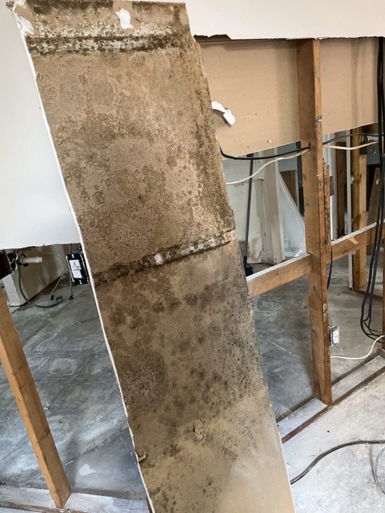 Mold Remediation