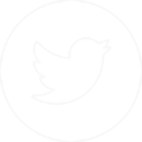 Twitter white icon