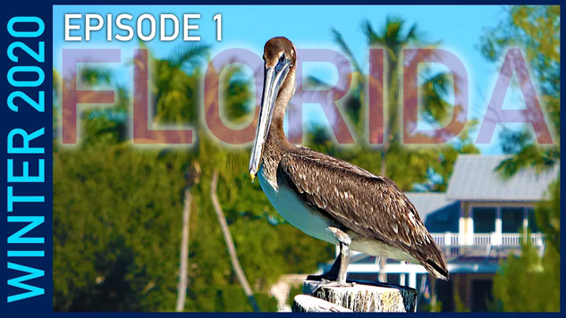 Myakka River State Park and Venice, Florida - Winter 2020 Episode 1