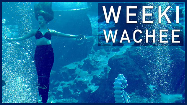 Weeki Wachee, Homosassa, and St. Pete Beach