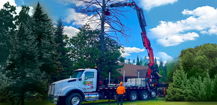 Tree Mek Truck