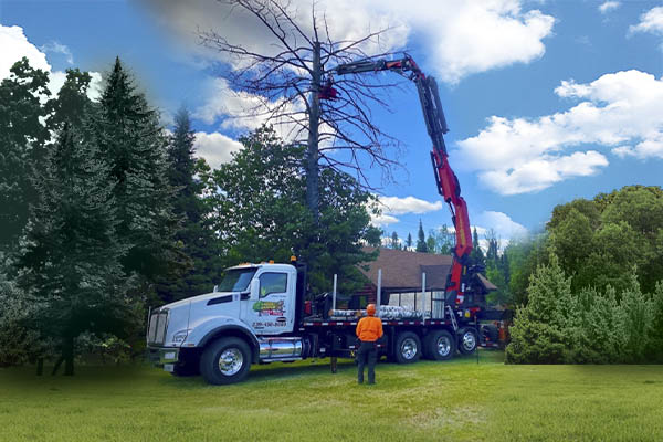 Tree Mek Truck