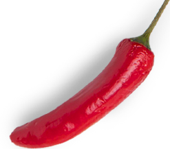 chilli