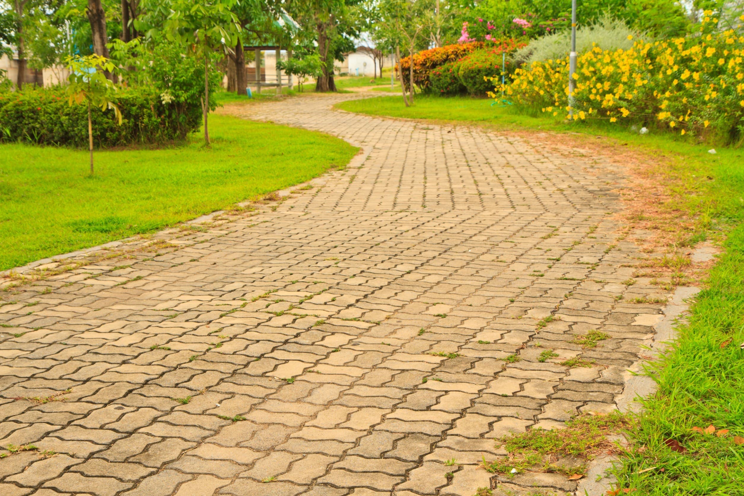 Paver Cleaning & Sealing