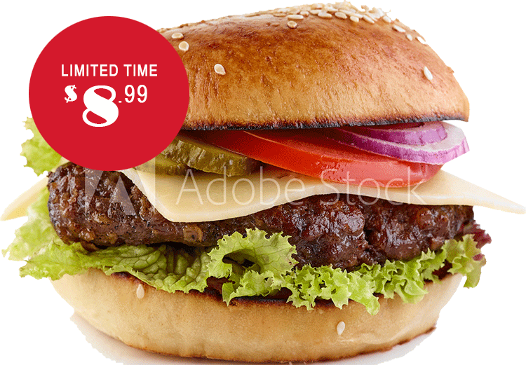 burger limited time