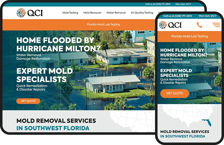 Mold Inspection Website