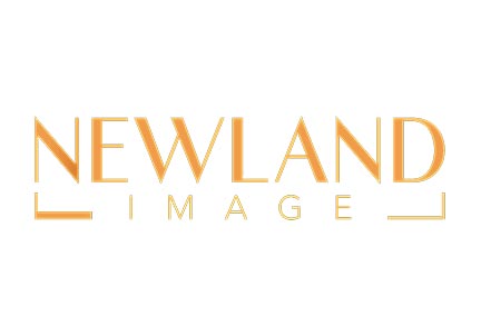 Newland Image Logo